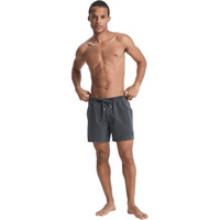 Mens Everyday Surfwash Volley 15" Boardshorts